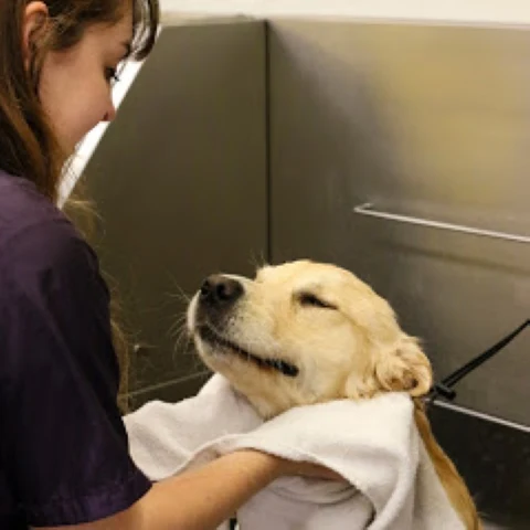 Wag N' Wash Natural Pet Food & Grooming